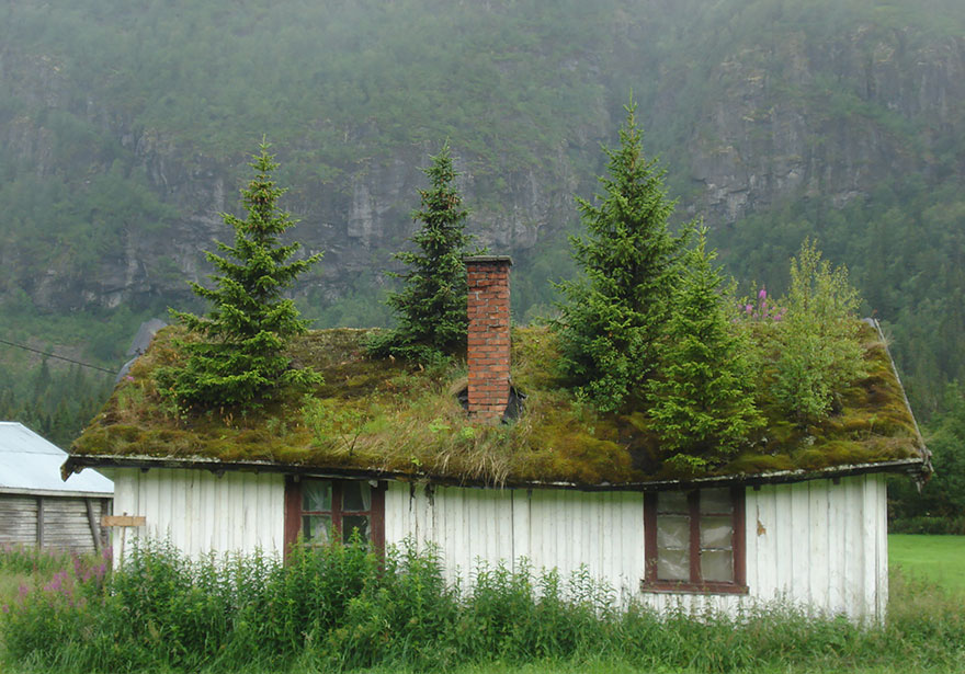 A Scandinavian home