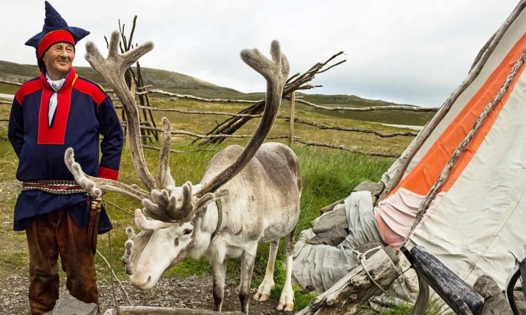 Sami reindeer herding